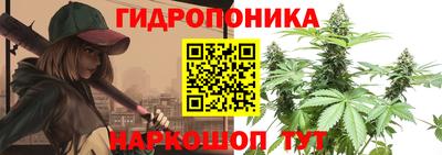 ГАЛЛЮЦИНОГЕННЫЕ ГРИБЫ Ставрополь