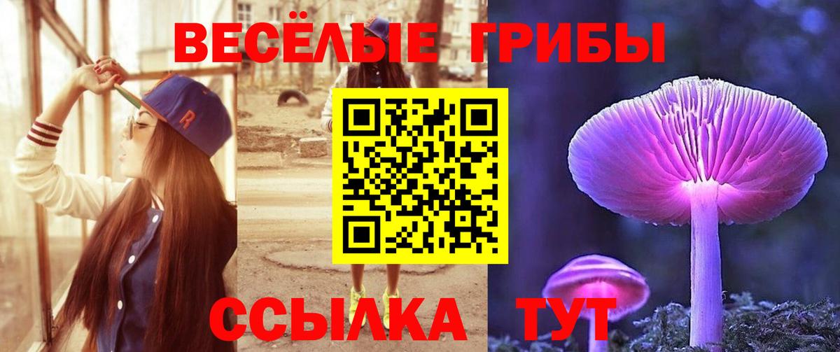 Псилоцибиновые грибы Psilocybine cubensis  Псилоцибиновые грибы мухоморы  Вход с VPN  Полевской 